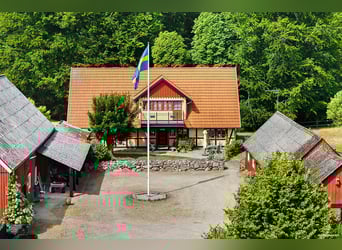 "Live the dream at the gateway to Österlen – equestrian estate, deer enclosure, river..