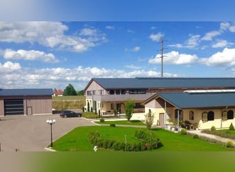 **Luxuriöses Pferdeanwesen in bester Lage** - Schweiz