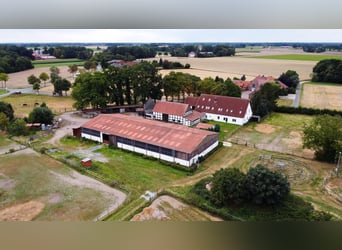 Magnifique élevage équestre d'environ 7,5 hectares, doté d'une carrière indoor, d'un manège d'entraî