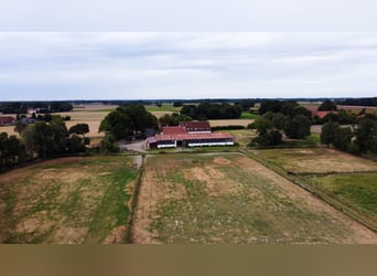 Magnifique élevage équestre d'environ 7,5 hectares, doté d'une carrière indoor, d'un manège d'entraî