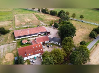 Magnifique élevage équestre d'environ 7,5 hectares, doté d'une carrière indoor, d'un manège d'entraî