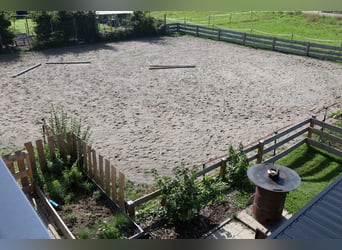 Maison individuelle neu-build avec 2,5 unités d'habitation *élevage de chevaux* 1 786 m² *sans commi