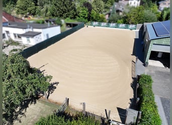 Maison moderne avec petit centre équestre à Wassenberg