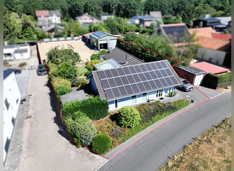 Maison moderne avec petit centre équestre à Wassenberg