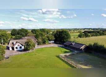 Paradies für Pferdeliebhaber: Reetdachanwesen auf ca. 3,38 ha großen Grundstück mit Nebengebäuden