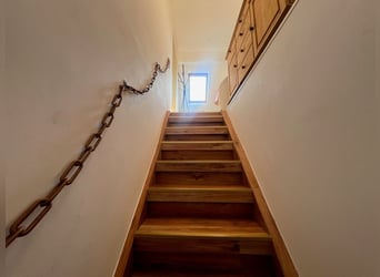 Paradis équestre - Haras romantique avec manège, 6 boxes et maison d'habitation
