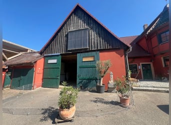 Paradis équestre - Haras romantique avec manège, 6 boxes et maison d'habitation