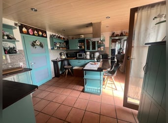 Paradis équestre - Haras romantique avec manège, 6 boxes et maison d'habitation