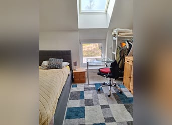 Petite ferme équestre à vendre près du lac de Constance.