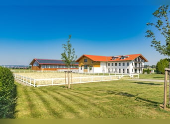 Pour les passionnés de chevaux : un nouveau centre équestre de luxe en Allgäu