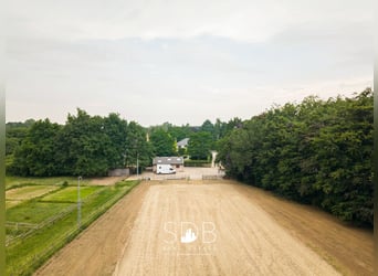 Prachtig landhuis met paardenfaciliteiten op 15.804m² te Haasdonk
