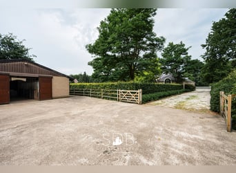 Prachtig landhuis met paardenfaciliteiten op 15.804m² te Haasdonk