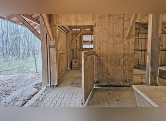 Privates Anwesen, ruhig im Grünen in Alleinlage gelegen, ideal für Pferde- und Naturfreunde