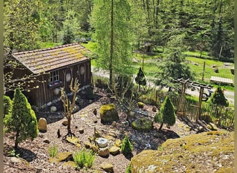 Privates Anwesen, ruhig im Grünen in Alleinlage gelegen, ideal für Pferde- und Naturfreunde