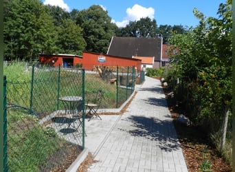 PROJET GREEN CARE - PRÉSENCE DE RÊVE EN EXTÉRIEUR AVEC PLAN DE CONSTRUCTION SPÉCIAL - 376-24