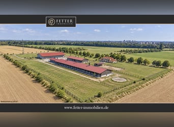Propriété à Wiesbaden en situation isolée – Exploitation agricole avec une grande maison jumelée !