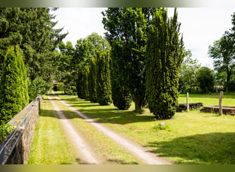 Propriété avec maison de maître et tour, deux terrains constructibles et espace de pâturage dans la 