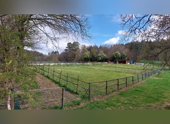 Propriété avec maison et écurie privée