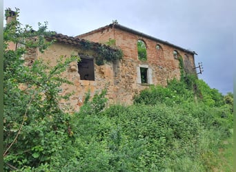 Propriété équestre à Girona-Costa Brava, de multiples possibilités