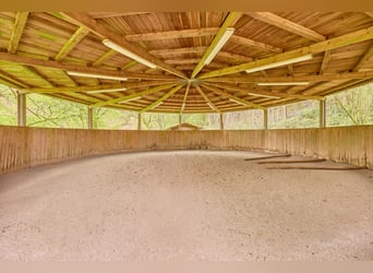 Propriété équestre à vendre dans la Sarre – Haras situé en pleine nature avec un manège moderne !