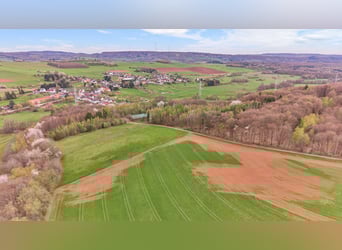 Propriété équestre à vendre dans la Sarre – Haras situé en pleine nature avec un manège moderne !