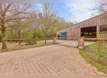 Propriété équestre à vendre dans la Sarre – Haras situé en pleine nature avec un manège moderne !