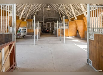 Propriété équestre aux possibilités infinies !