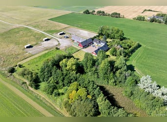 Propriété équestre aux possibilités infinies !