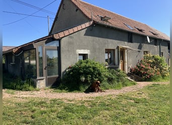 Propriété équestre avec habitation