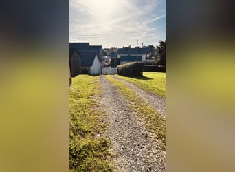 Propriété équestre avec manège, grange et terrain de 45 000 m²