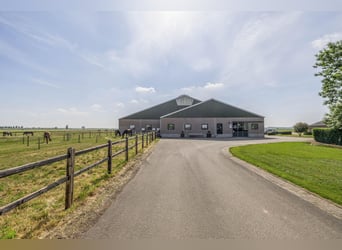 Propriété équestre compacte avec vue imprenable sur la campagne !