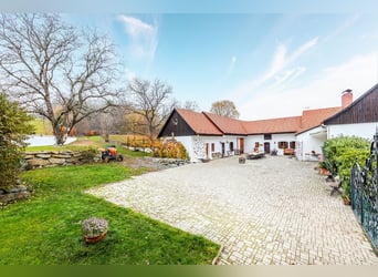 Propriété équestre dans le sud de la Burgenland à vendre, idéale pour l’élevage et la garde de cheva