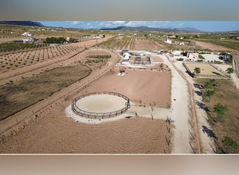 Propriété équestre de luxe avec maison de maître haut de gamme