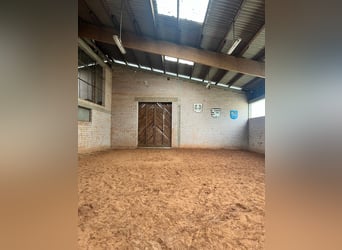 Propriété équestre exceptionnelle en Palatinat – 5,8 hectares, maison, écuries, manège, carrière, pa