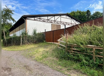 Propriété équestre exceptionnelle en Palatinat – 5,8 hectares, maison, écuries, manège, carrière, pa