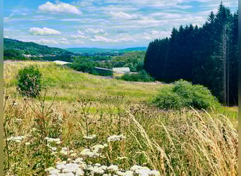 Propriété équestre exclusive avec panorama alpin – paradis pour chevaux avec perspectives V13084
