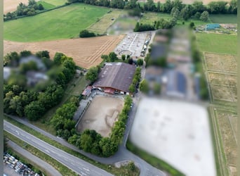 Propriété équestre exclusive avec une maison d'habitation récemment rénovée, manège couvert et vaste