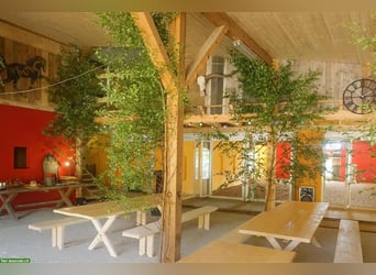 Propriété équestre exclusive dans les Vosges