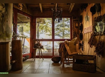 Propriété équestre exclusive dans les Vosges