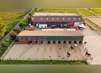 Propriété équestre moderne sur 3,4 ha – manège couvert, 13 boxes, chambre de sel et 2 carrières