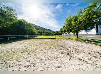 Propriété équestre privée avec bâtiment résidentiel historique, située dans un cadre idyllique