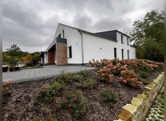 Propriété équestre privée - entièrement rénovée avec manège, grand paddock extérieur et prairies. To