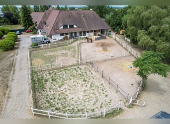 Propriété équestre spacieuse avec une maison d'habitation exceptionnelle, comprenant cinq unités rés
