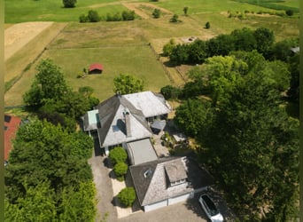 Propriété exclusive avec installation équestre privée sur un terrain spacieux d'environ 2,4 hectares