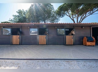 Propriété privée exclusive dans le « Triangle d'Or », Portugal