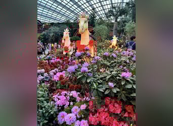 Recherche de location / propriété en pension