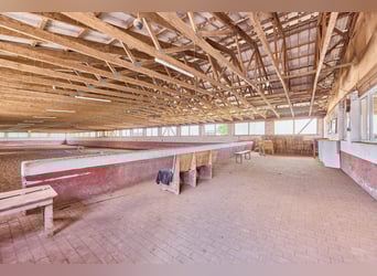 Reitanlage bei Villingen-Schwenningen mit zwei Reithallen & ländlicher Wohnidylle!