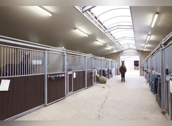 Reitanlage im Pferdepark im Maifeld – in Mitten des Sonderbaugebietes “Wohnen mit Pferden” in Lonnig