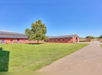 Reitanlage im Pferdepark im Maifeld – in Mitten des Sonderbaugebietes “Wohnen mit Pferden” in Lonnig