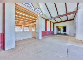 Reitanlage im Pferdepark im Maifeld – in Mitten des Sonderbaugebietes “Wohnen mit Pferden” in Lonnig